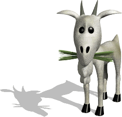goat